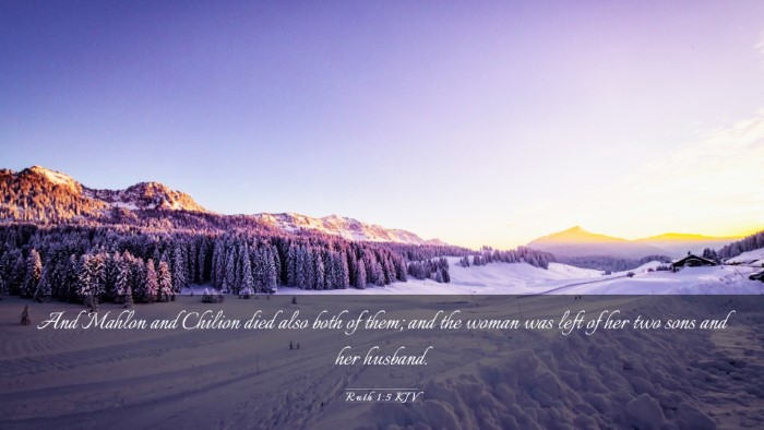 Picture 03 - Ruth 1:5 KJV Desktop Wallpaper - And Mahlon and Chilion died also both of them; - Desktop Bible Verse Wallpaper