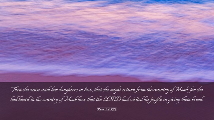 Picture 03 - Ruth 1:6 KJV Desktop Wallpaper - Then she arose with her daughters in law, that - Desktop Bible Verse Wallpaper