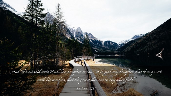 Picture 03 - Ruth 2:22 KJV Desktop Wallpaper - And Naomi said unto Ruth her daughter in law, It - Desktop Bible Verse Wallpaper