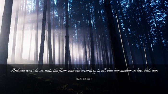 Picture 03 - Ruth 3:6 KJV Desktop Wallpaper - And she went down unto the floor, and did - Desktop Bible Verse Wallpaper