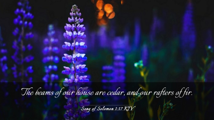 Picture 03 - Song of Solomon 1:17 KJV Desktop Wallpaper - The beams of our house are cedar, and our rafters - Desktop Bible Verse Wallpaper