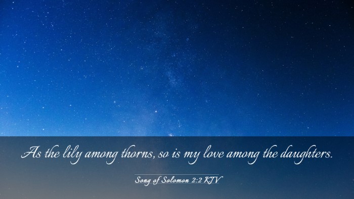 Picture 03 - Song of Solomon 2:2 KJV Desktop Wallpaper - As the lily among thorns, so is my love among the - Desktop Bible Verse Wallpaper