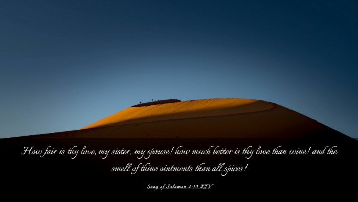 Picture 03 - Song of Solomon 4:10 KJV Desktop Wallpaper - How fair is thy love, my sister, my spouse! how - Desktop Bible Verse Wallpaper