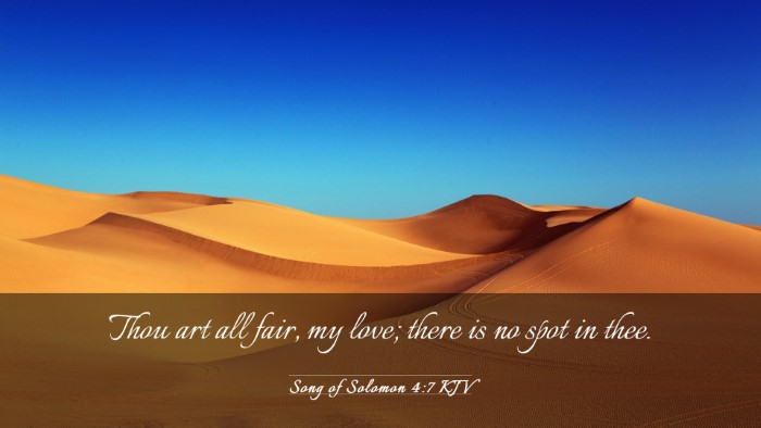 Picture 03 - Song of Solomon 4:7 KJV Desktop Wallpaper - Thou art all fair, my love; there is no spot in - Desktop Bible Verse Wallpaper