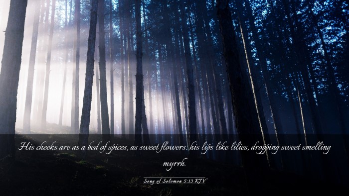 Picture 03 - Song of Solomon 5:13 KJV Desktop Wallpaper - His cheeks are as a bed of spices, as sweet - Desktop Bible Verse Wallpaper