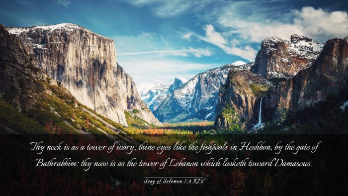 Picture 03 - Song of Solomon 7:4 KJV Desktop Wallpaper - Thy neck is as a tower of ivory; thine eyes like - Desktop Bible Verse Wallpaper