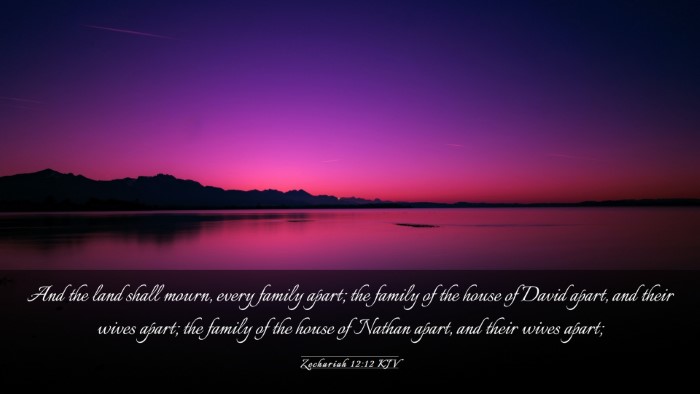 Picture 03 - Zechariah 12:12 KJV Desktop Wallpaper - And the land shall mourn, every family apart; the - Desktop Bible Verse Wallpaper