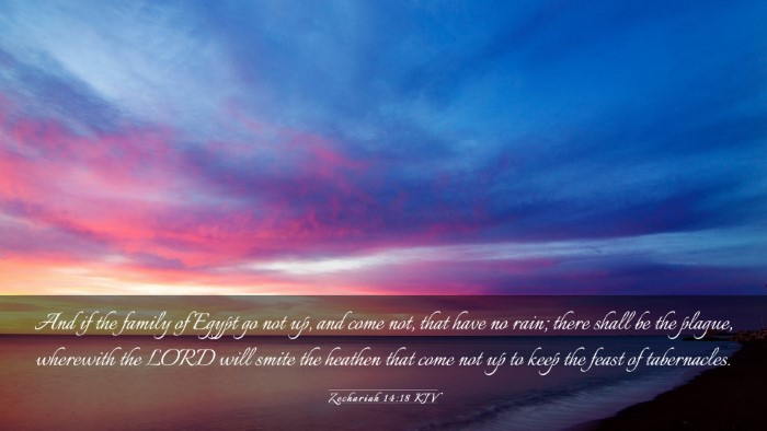 Picture 03 - Zechariah 14:18 KJV Desktop Wallpaper - And if the family of Egypt go not up, and come - Desktop Bible Verse Wallpaper