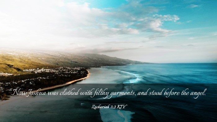 Picture 03 - Zechariah 3:3 KJV Desktop Wallpaper - Now Joshua was clothed with filthy garments, and - Desktop Bible Verse Wallpaper