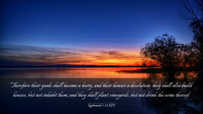 Picture 03 - Zephaniah 1:13 KJV Desktop Wallpaper - Therefore their goods shall become a booty, and - Desktop Bible Verse Wallpaper