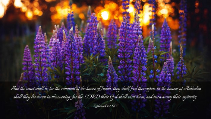 Picture 03 - Zephaniah 2:7 KJV Desktop Wallpaper - And the coast shall be for the remnant of the - Desktop Bible Verse Wallpaper