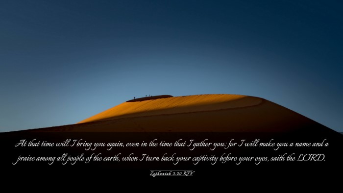 Picture 03 - Zephaniah 3:20 KJV Desktop Wallpaper - At that time will I bring you again, even in the - Desktop Bible Verse Wallpaper