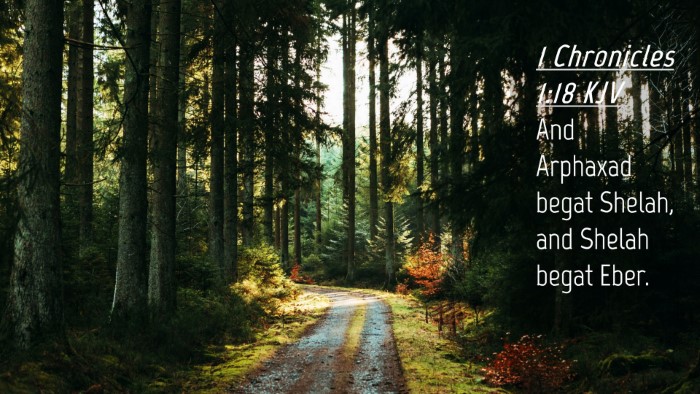 Picture 04 - 1 Chronicles 1:18 KJV Desktop Wallpaper - And Arphaxad begat Shelah, and Shelah begat - Desktop Bible Verse Wallpaper