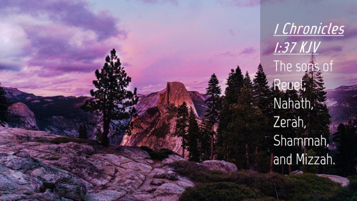 Picture 04 - 1 Chronicles 1:37 KJV Desktop Wallpaper - The sons of Reuel; Nahath, Zerah, Shammah, and - Desktop Bible Verse Wallpaper