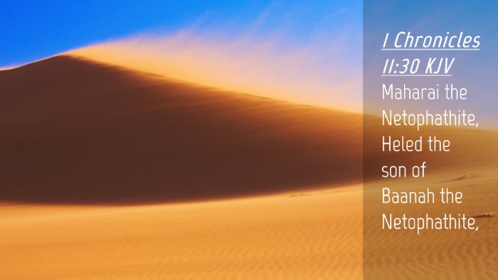 Picture 04 - 1 Chronicles 11:30 KJV Desktop Wallpaper - Maharai the Netophathite, Heled the son of Baanah - Desktop Bible Verse Wallpaper