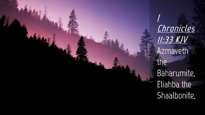 Picture 04 - 1 Chronicles 11:33 KJV Desktop Wallpaper - Azmaveth the Baharumite, Eliahba the - Desktop Bible Verse Wallpaper