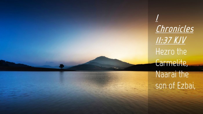 Picture 04 - 1 Chronicles 11:37 KJV Desktop Wallpaper - Hezro the Carmelite, Naarai the son of - Desktop Bible Verse Wallpaper