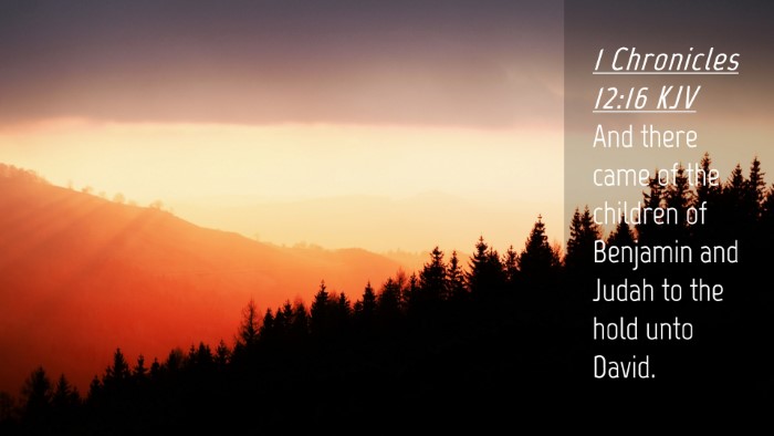 Picture 04 - 1 Chronicles 12:16 KJV Desktop Wallpaper - And there came of the children of Benjamin and - Desktop Bible Verse Wallpaper