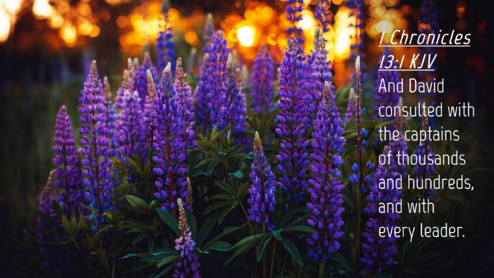 Picture 04 - 1 Chronicles 13:1 KJV Desktop Wallpaper - And David consulted with the captains of - Desktop Bible Verse Wallpaper