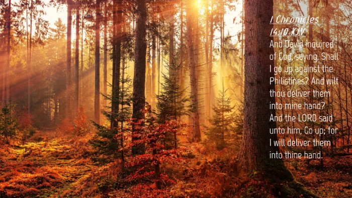 Picture 04 - 1 Chronicles 14:10 KJV Desktop Wallpaper - And David inquired of God, saying, Shall I go up - Desktop Bible Verse Wallpaper
