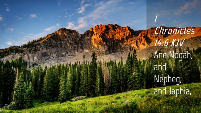 Picture 04 - 1 Chronicles 14:6 KJV Desktop Wallpaper - And Nogah, and Nepheg, and - Desktop Bible Verse Wallpaper
