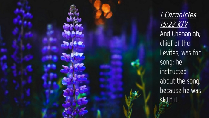 Picture 04 - 1 Chronicles 15:22 KJV Desktop Wallpaper - And Chenaniah, chief of the Levites, was for - Desktop Bible Verse Wallpaper