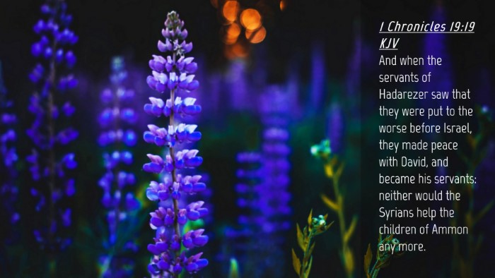 Picture 04 - 1 Chronicles 19:19 KJV Desktop Wallpaper - And when the servants of Hadarezer saw that they - Desktop Bible Verse Wallpaper