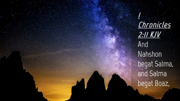 Picture 04 - 1 Chronicles 2:11 KJV Desktop Wallpaper - And Nahshon begat Salma, and Salma begat - Desktop Bible Verse Wallpaper
