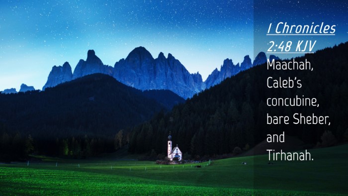 Picture 04 - 1 Chronicles 2:48 KJV Desktop Wallpaper - Maachah, Caleb's concubine, bare Sheber, and - Desktop Bible Verse Wallpaper