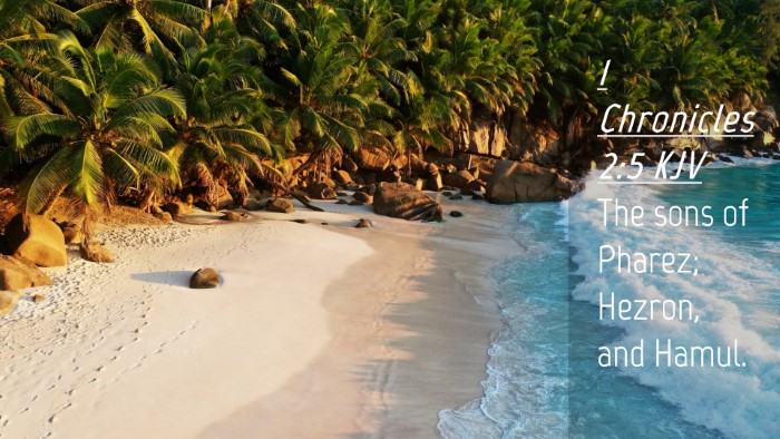 Picture 04 - 1 Chronicles 2:5 KJV Desktop Wallpaper - The sons of Pharez; Hezron, and - Desktop Bible Verse Wallpaper