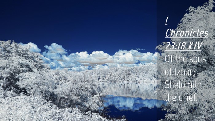 Picture 04 - 1 Chronicles 23:18 KJV Desktop Wallpaper - Of the sons of Izhar; Shelomith the - Desktop Bible Verse Wallpaper
