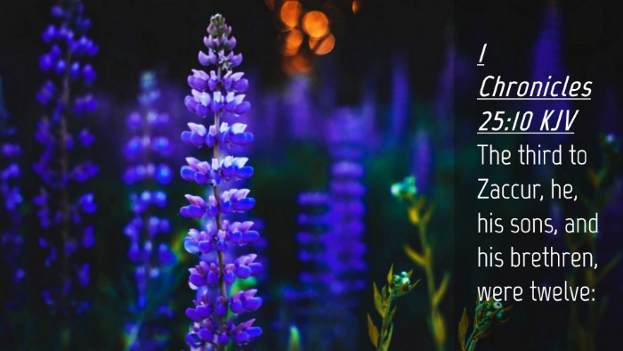 Picture 04 - 1 Chronicles 25:10 KJV Desktop Wallpaper - The third to Zaccur, he, his sons, and his - Desktop Bible Verse Wallpaper