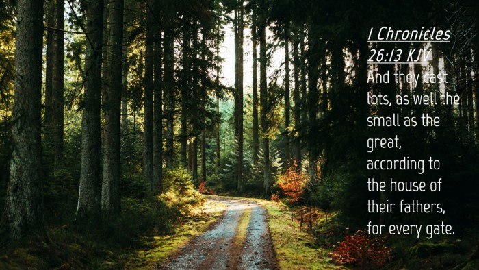 Picture 04 - 1 Chronicles 26:13 KJV Desktop Wallpaper - And they cast lots, as well the small as the - Desktop Bible Verse Wallpaper