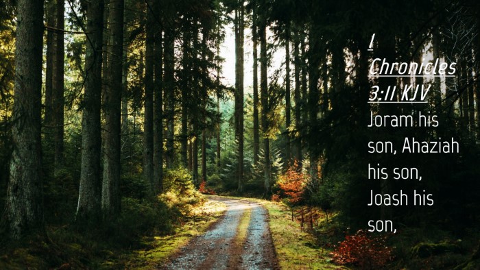 Picture 04 - 1 Chronicles 3:11 KJV Desktop Wallpaper - Joram his son, Ahaziah his son, Joash his - Desktop Bible Verse Wallpaper