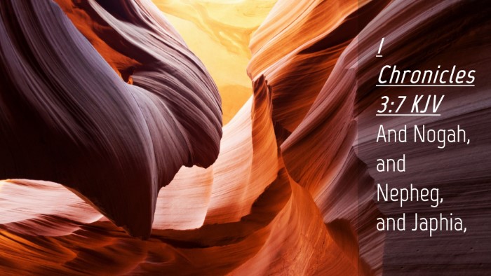 Picture 04 - 1 Chronicles 3:7 KJV Desktop Wallpaper - And Nogah, and Nepheg, and - Desktop Bible Verse Wallpaper