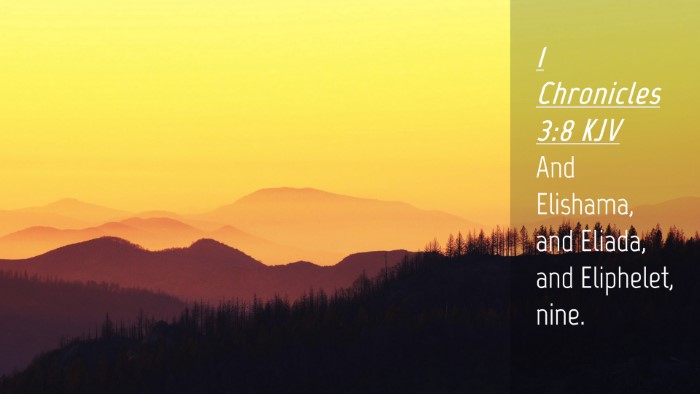 Picture 04 - 1 Chronicles 3:8 KJV Desktop Wallpaper - And Elishama, and Eliada, and Eliphelet, - Desktop Bible Verse Wallpaper