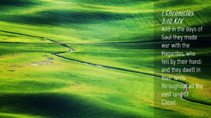 Picture 04 - 1 Chronicles 5:10 KJV Desktop Wallpaper - And in the days of Saul they made war with the - Desktop Bible Verse Wallpaper