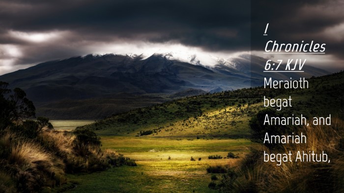 Picture 04 - 1 Chronicles 6:7 KJV Desktop Wallpaper - Meraioth begat Amariah, and Amariah begat - Desktop Bible Verse Wallpaper