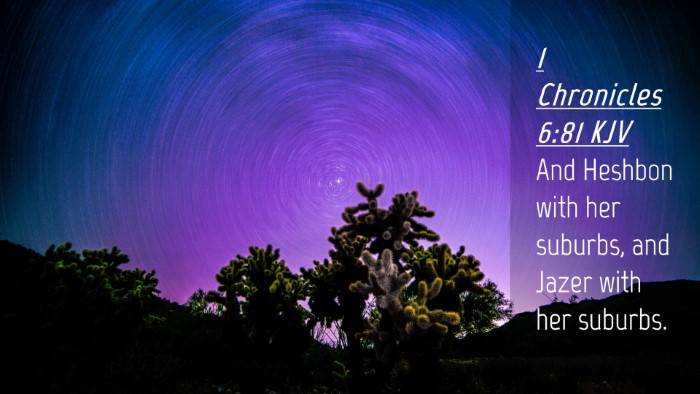 Picture 04 - 1 Chronicles 6:81 KJV Desktop Wallpaper - And Heshbon with her suburbs, and Jazer with her - Desktop Bible Verse Wallpaper
