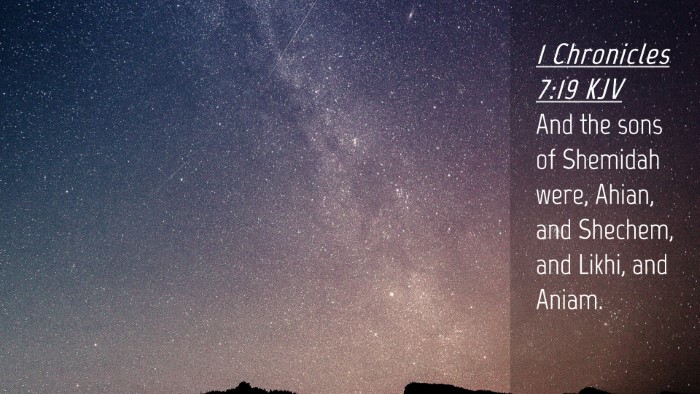 Picture 04 - 1 Chronicles 7:19 KJV Desktop Wallpaper - And the sons of Shemidah were, Ahian, and - Desktop Bible Verse Wallpaper
