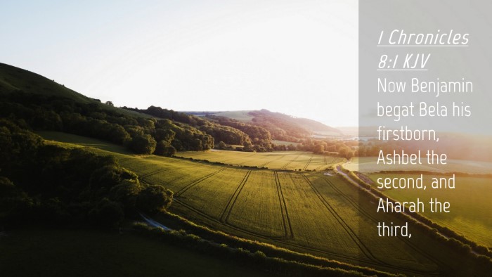 Picture 04 - 1 Chronicles 8:1 KJV Desktop Wallpaper - Now Benjamin begat Bela his firstborn, Ashbel the - Desktop Bible Verse Wallpaper