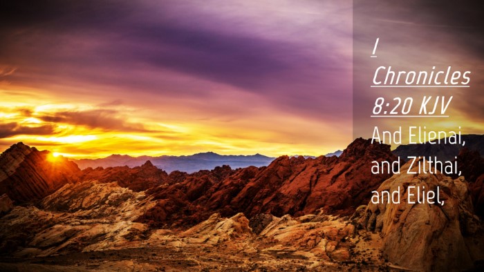 Picture 04 - 1 Chronicles 8:20 KJV Desktop Wallpaper - And Elienai, and Zilthai, and - Desktop Bible Verse Wallpaper
