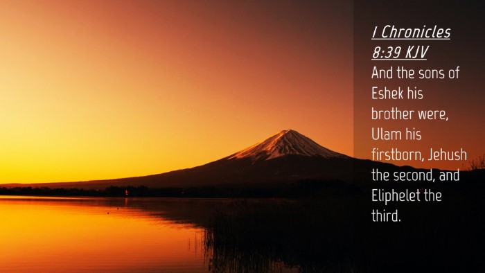 Picture 04 - 1 Chronicles 8:39 KJV Desktop Wallpaper - And the sons of Eshek his brother were, Ulam his - Desktop Bible Verse Wallpaper