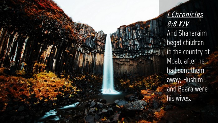 Picture 04 - 1 Chronicles 8:8 KJV Desktop Wallpaper - And Shaharaim begat children in the country of - Desktop Bible Verse Wallpaper