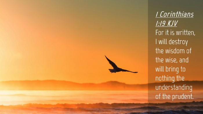 Picture 04 - 1 Corinthians 1:19 KJV Desktop Wallpaper - For it is written, I will destroy the wisdom of - Desktop Bible Verse Wallpaper