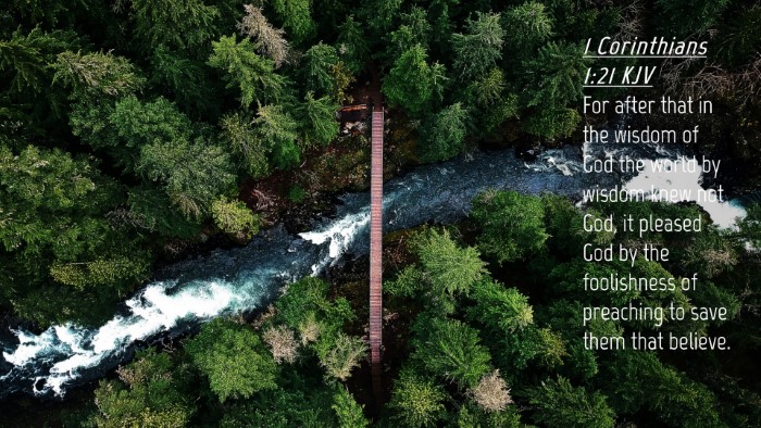 Picture 04 - 1 Corinthians 1:21 KJV Desktop Wallpaper - For after that in the wisdom of God the world by - Desktop Bible Verse Wallpaper