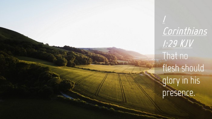 Picture 04 - 1 Corinthians 1:29 KJV Desktop Wallpaper - That no flesh should glory in his - Desktop Bible Verse Wallpaper