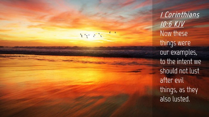 Picture 04 - 1 Corinthians 10:6 KJV Desktop Wallpaper - Now these things were our examples, to the intent - Desktop Bible Verse Wallpaper