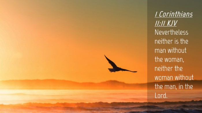 Picture 04 - 1 Corinthians 11:11 KJV Desktop Wallpaper - Nevertheless neither is the man without the - Desktop Bible Verse Wallpaper