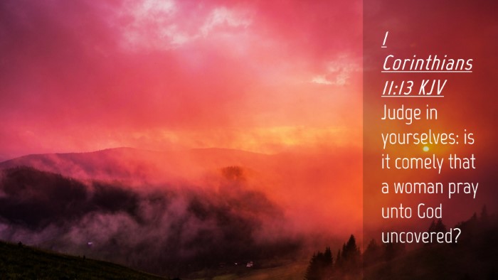 Picture 04 - 1 Corinthians 11:13 KJV Desktop Wallpaper - Judge in yourselves: is it comely that a woman - Desktop Bible Verse Wallpaper